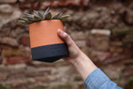 Tip Mini moving plant pot